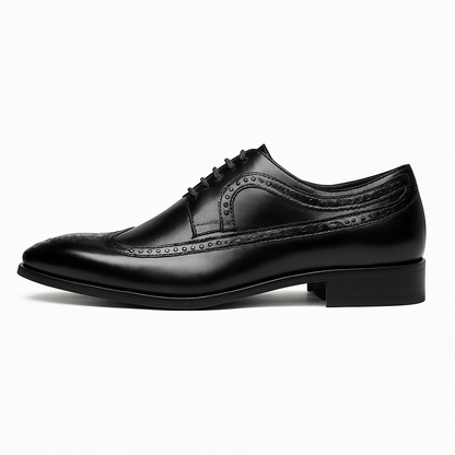 Toby | Herren Oxford Brogue Schnürschuhe aus Glattleder | Klassischer Business & Formal Look